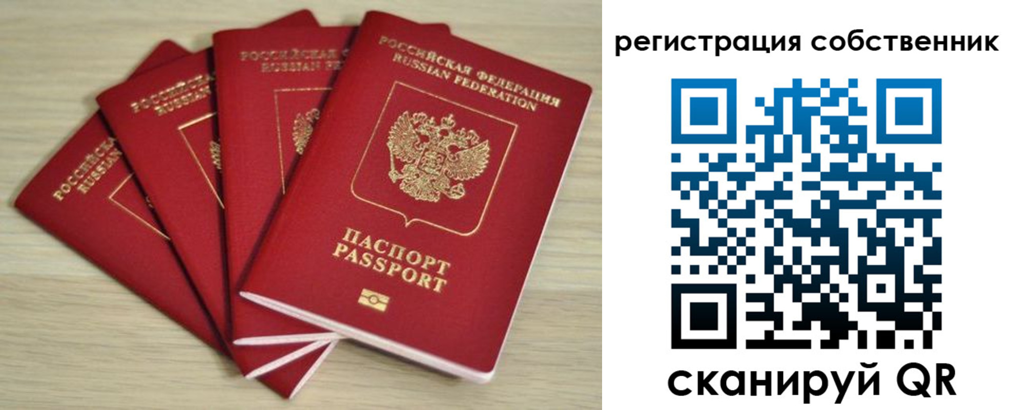 где прописаться в Выксе